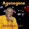 Peter Owoicho Otulu - Agenegene
